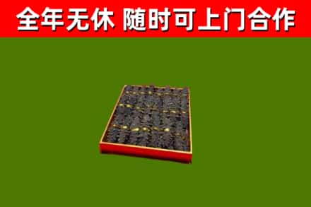 自流井区回收海参
